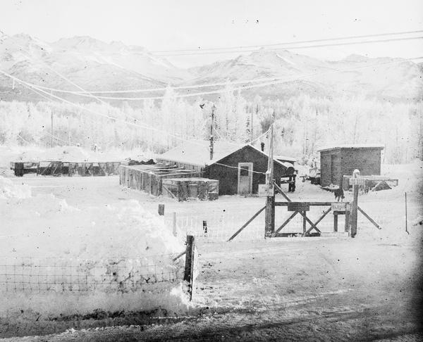 album Plus-X (type 116)